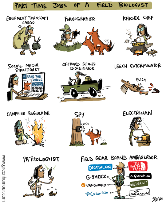Green Humour Part Time Jobs of a Field Biologist