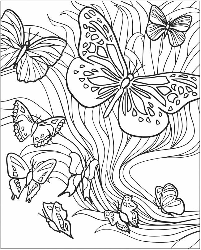40 Desenhos para adultos, desenhos com detalhes para colorir, pintar, imprimir