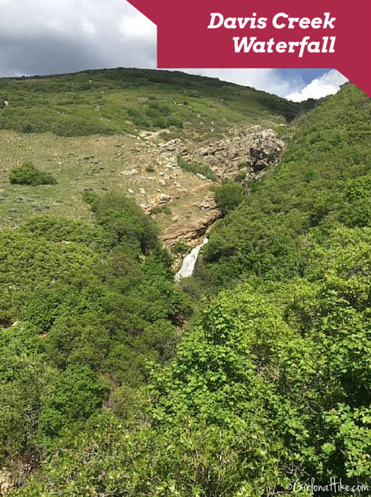 Girl on a Hike Davis Creek Waterfall