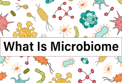 What Is Microbiome?