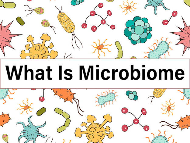 This Image illustrating different microbiomes and asking about what is microbiome