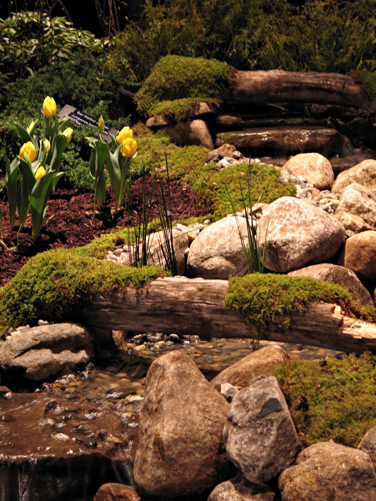 Idyll Haven: Connecticut Flower & Garden Show