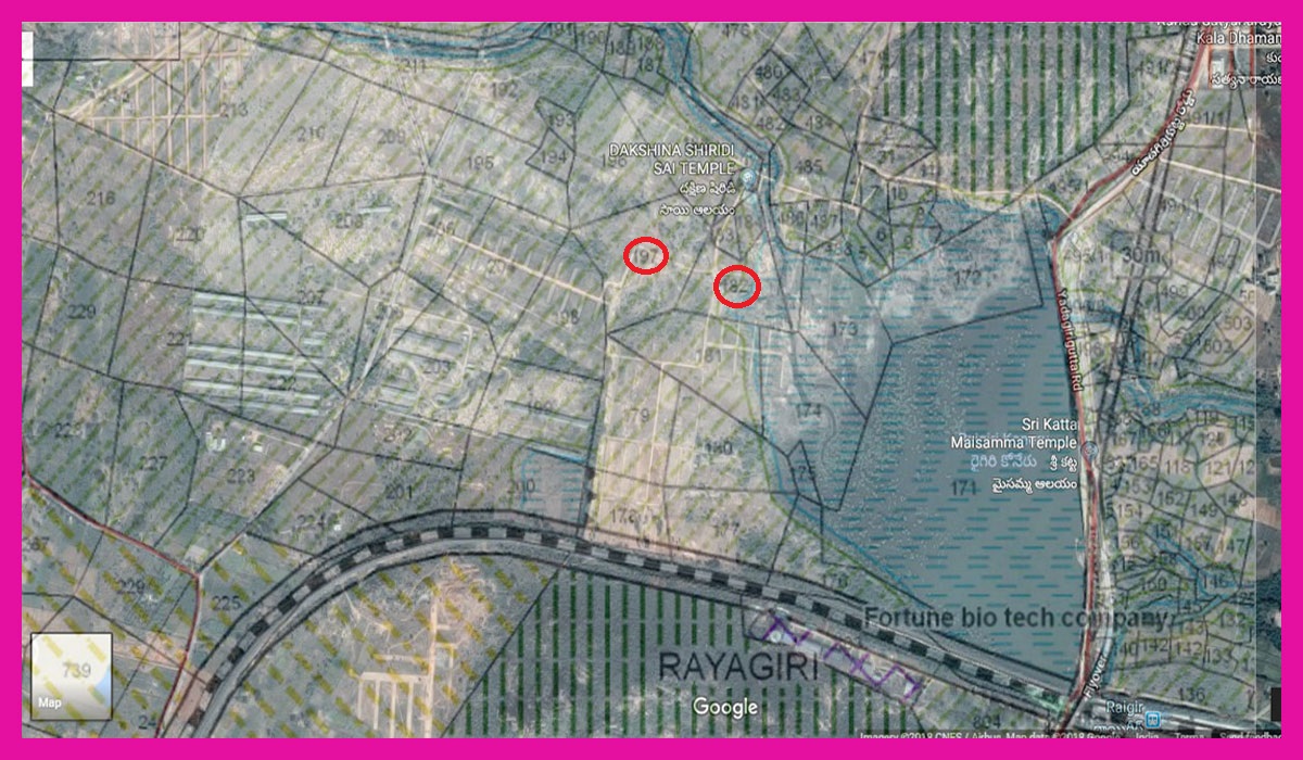 Village Survey Map Telangana Yadadri Golden Plots: Rayagiri Village Map