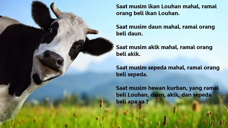 yuk qurban