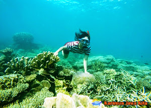 under water in karimun jawa