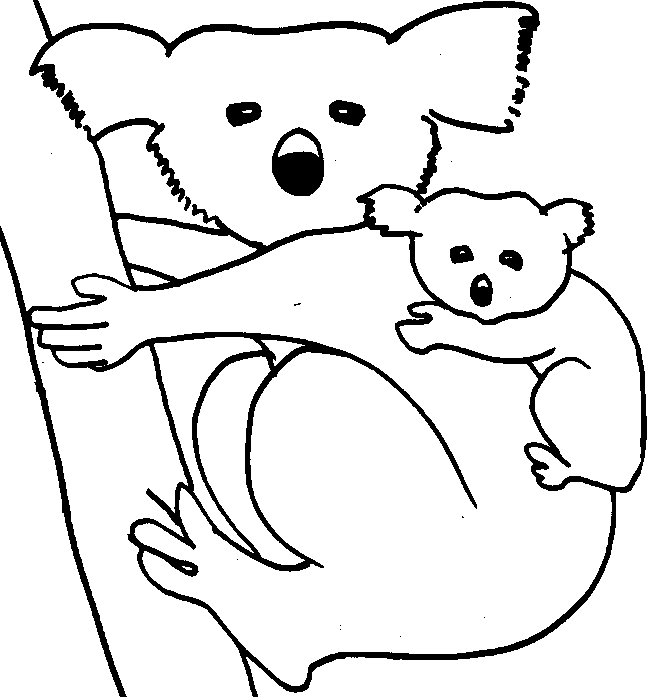 Animal Coloring Pages - Koala and Bear Animal Free Coloring Sheet title=