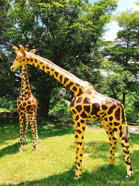 【台南玉井】加利利漂流木方舟教堂,被森林圍繞的仙境