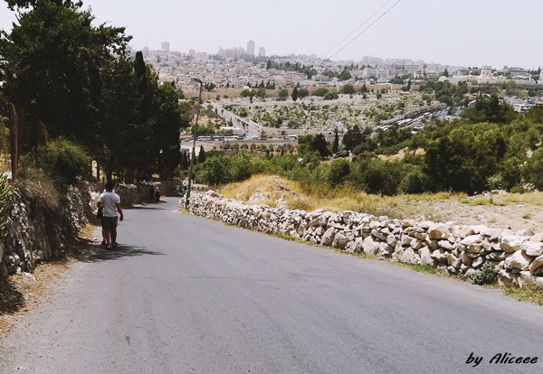 Muntele-Maslinilor-Ierusalim-obiectiv-turistic-am-fost-acolo