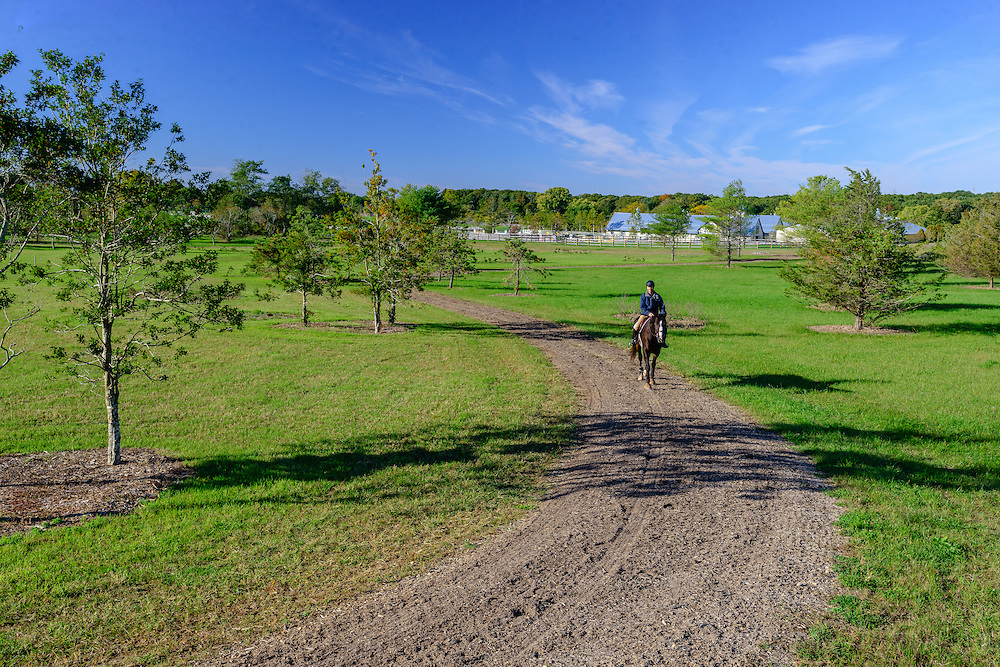 Bright Side Farm [ Stable Insider ]