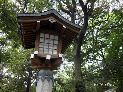 Forested area at the Meiji Jingu Shrine, Tokyo