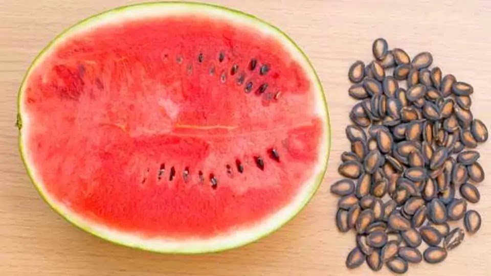 health benefits of watermelon seeds
