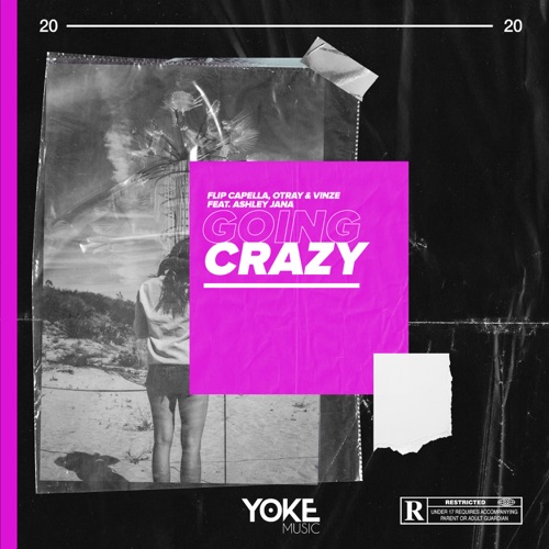 flip capella otray vinze going crazy feat ashley flip capella otray vinze going crazy feat ashley