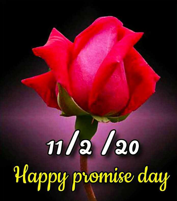 Promise Day Images For Whatsapp Promise Day Images For Couple Beautiful Couple Promise Day Images Mixing Images Promise Day Images For Whatsapp Promise Day Images For Couple Beautiful Couple Promise Day Images Mixing Images