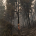 ΓΓΠΠ – Πολύ υψηλός κίνδυνος πυρκαγιάς για 5 Περιφέρειες