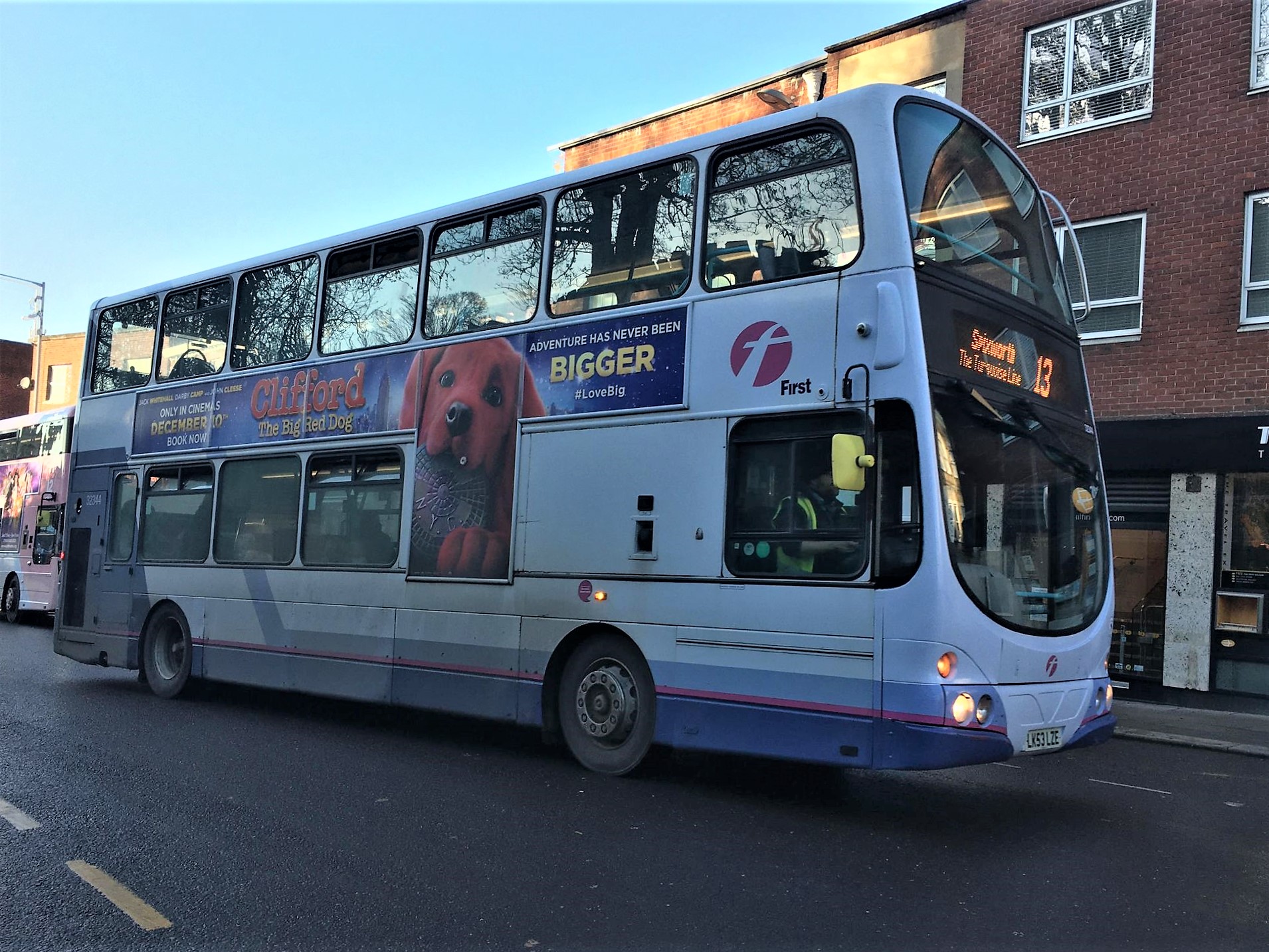 Can I Take My Dog On The Bus First Bus