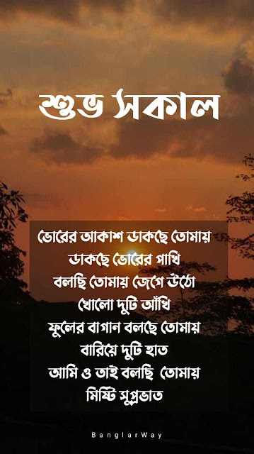 Bengali Good Morning  image