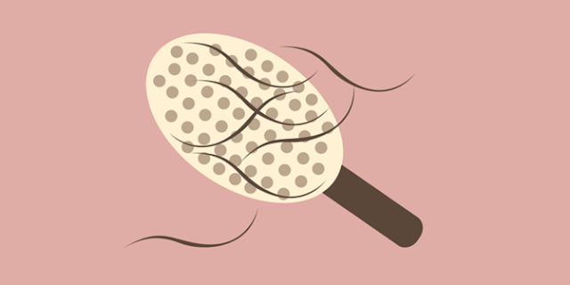 Inilah Khasiat yang Terkandung Dalam Daun Pandan untuk Kecantikan Inilah Khasiat yang Terkandung Dalam Daun Pandan untuk Kecantikan