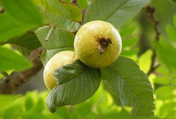 To re-live our Old memories