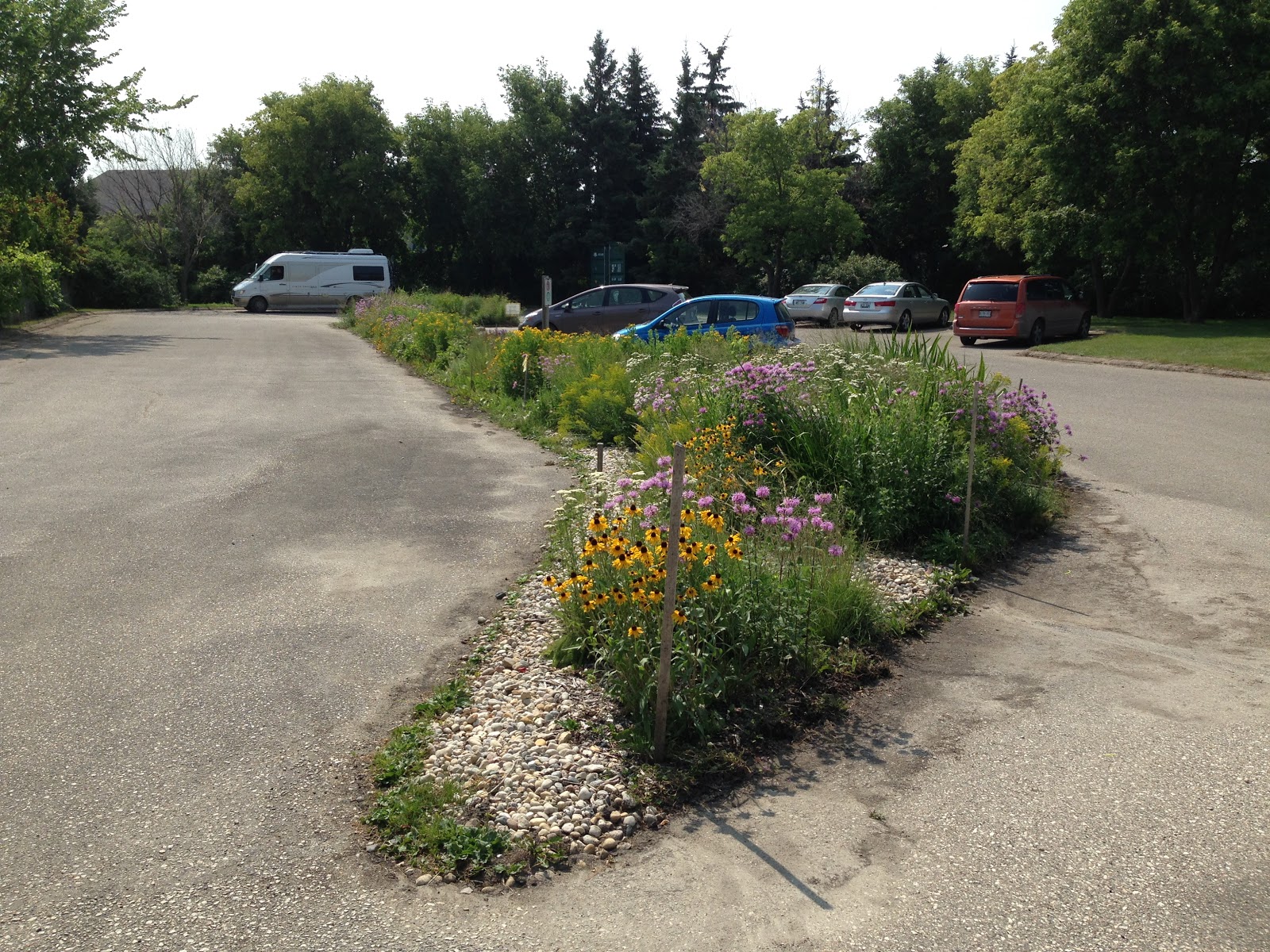 Gardening at Riel House in 2019 Parking Lot Garden