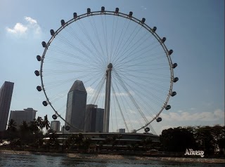 The Singapore Flyer