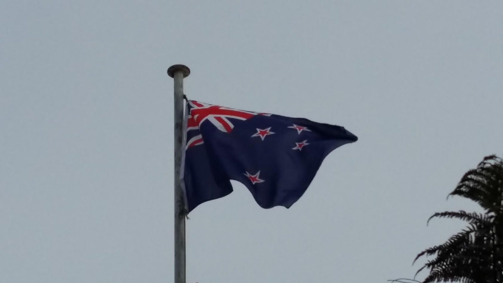 koukku nyt NZ
