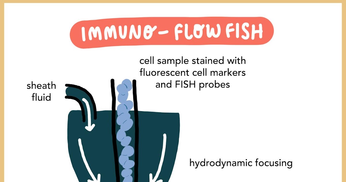 A different kettle of FISH the revolution of leukaemia testing
