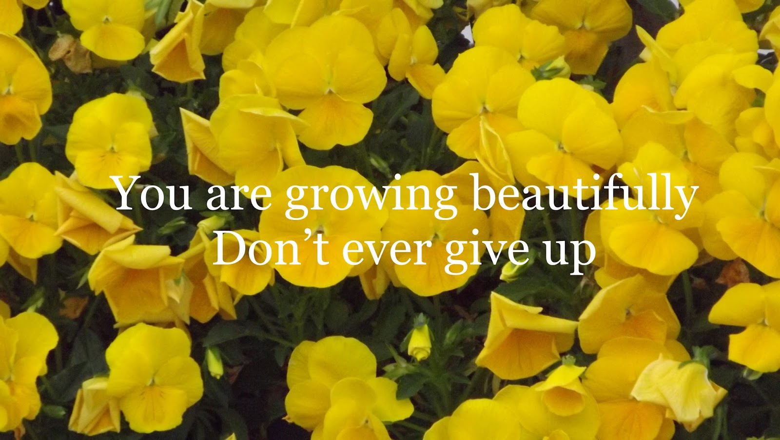 Kind Words and Inspiration You are Growing...