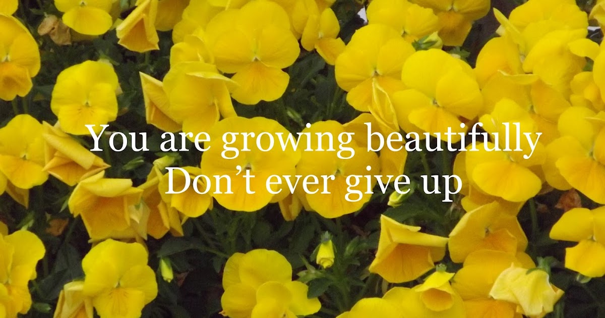 Kind Words and Inspiration You are Growing...