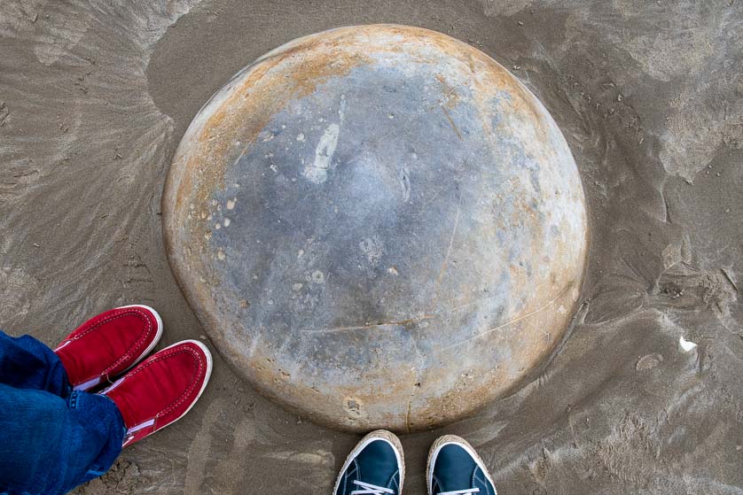 A small, almost perfectly spherical, Moeraki Boulder.