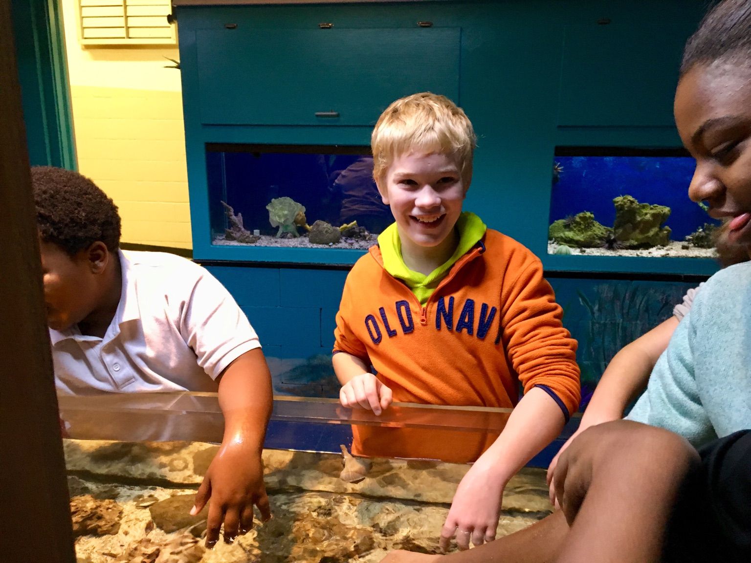 Mrs. Jenkins' News Marine Science & Education Center