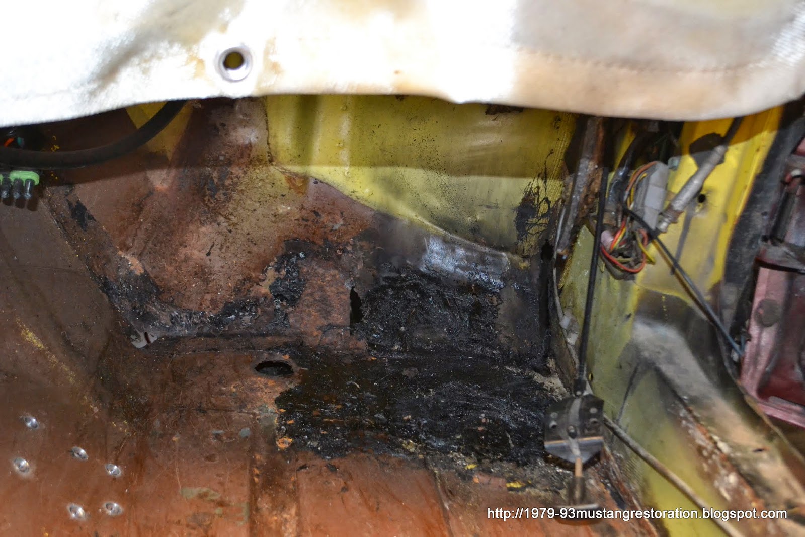 Fox Body Mustang Floor Pans