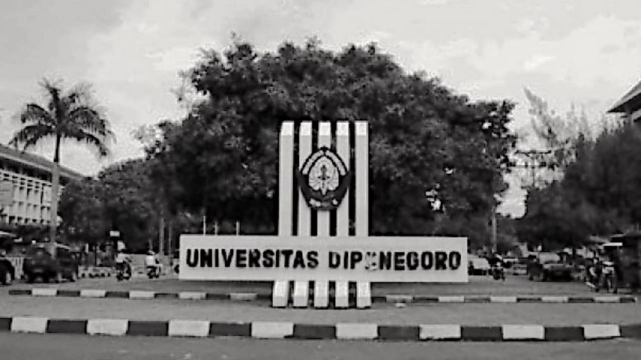 Undip