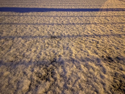 Schneebedeckte Straße