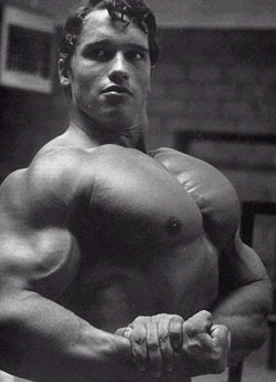 Sports and Players: Arnold Schwarzenegger Bodybuilding Player