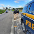 Ciclista fica gravemente ferido após acidente com carro