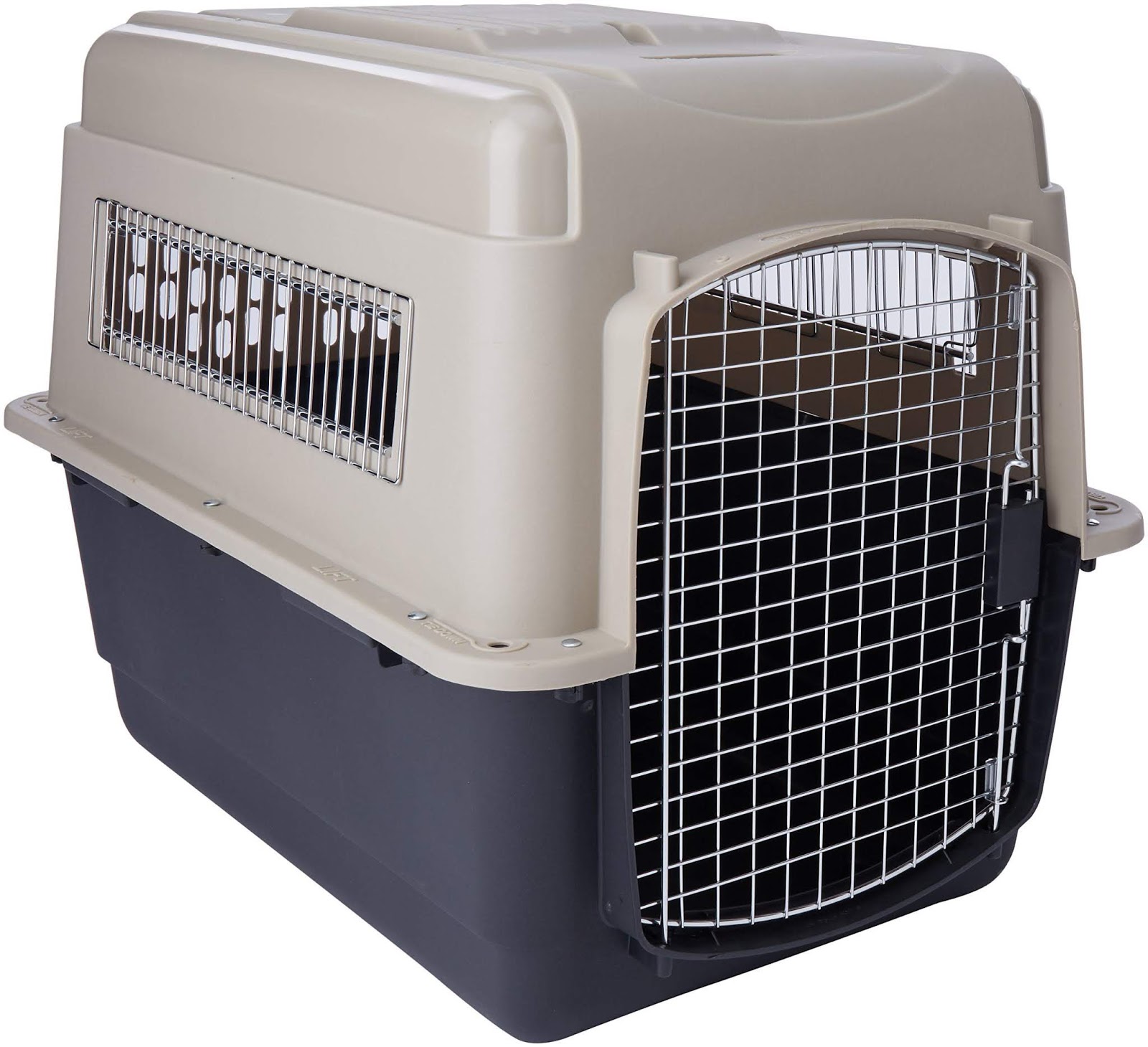 petmate plastic dog crate