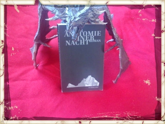 Friedhof Der Vergessenen Bucher Marz 2014