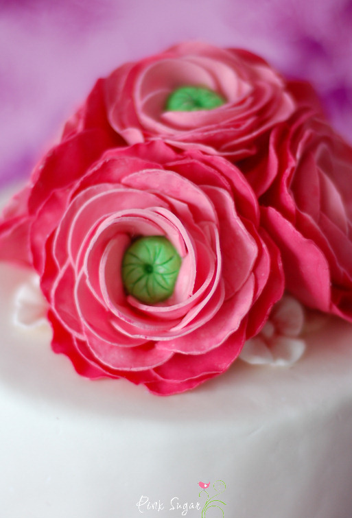 Kessy&amp;#39;s Pink Sugar: RANUNKEL Zuckerblüten - Tutorial