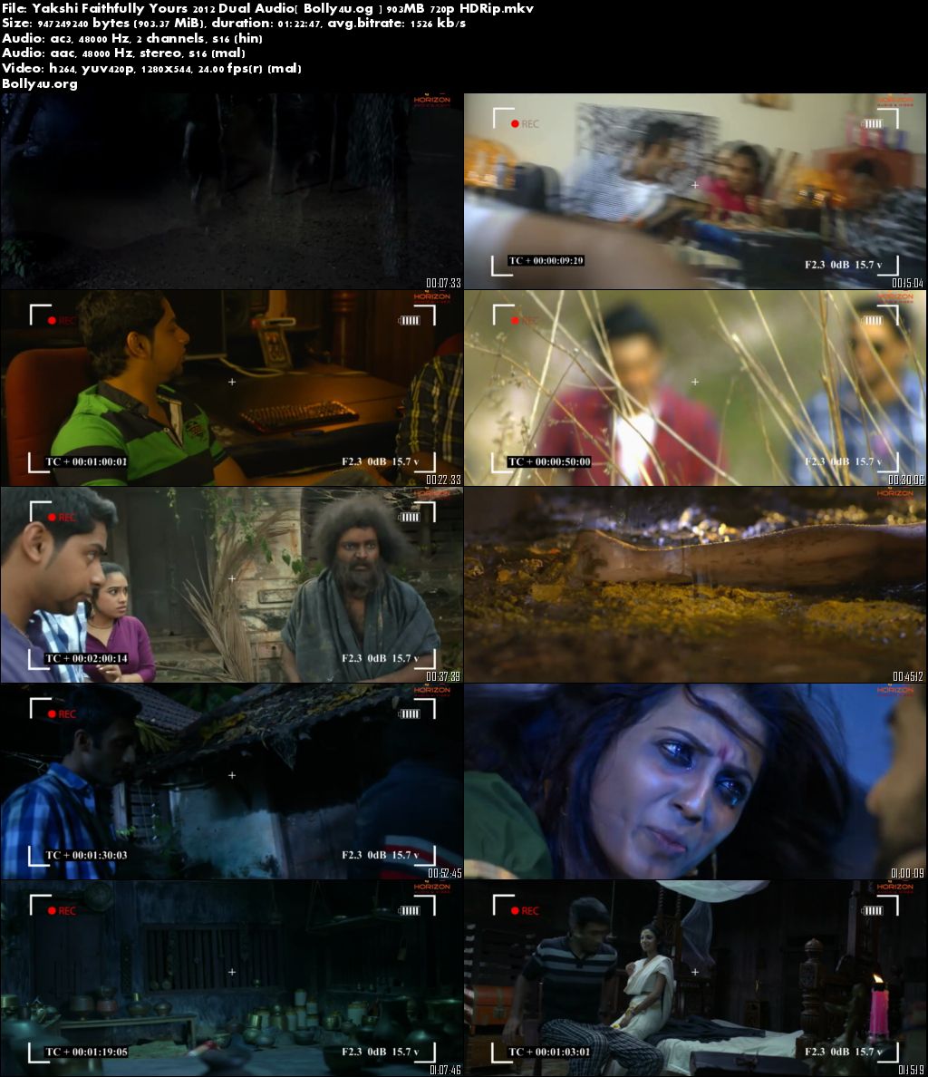Yakshi Faithfully Yours 2012 HDRip 270MB Hindi 480p Dual Audio Download