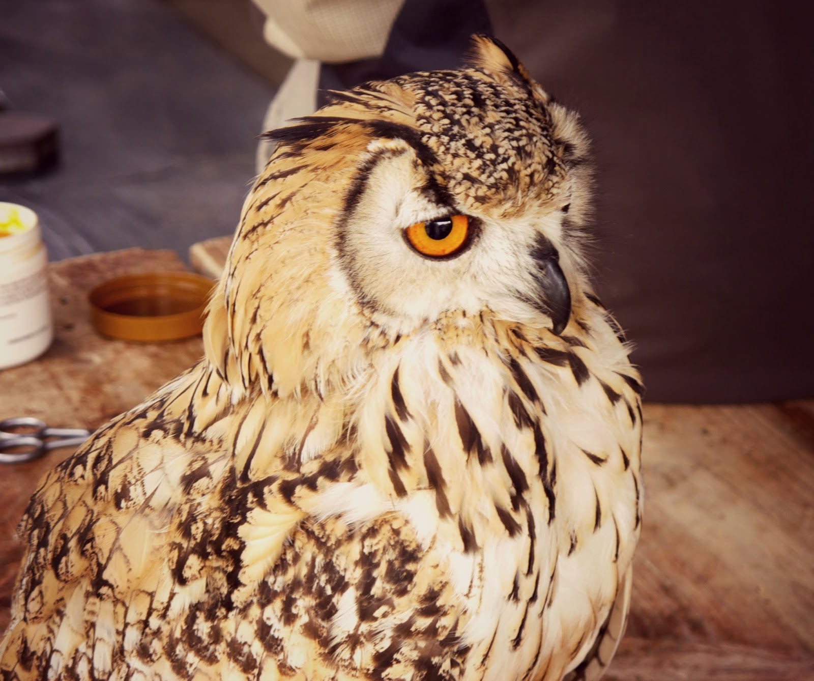 the sourcerer: Cool things #1.