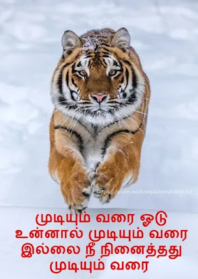 Motivational Quotes In Tamil for students