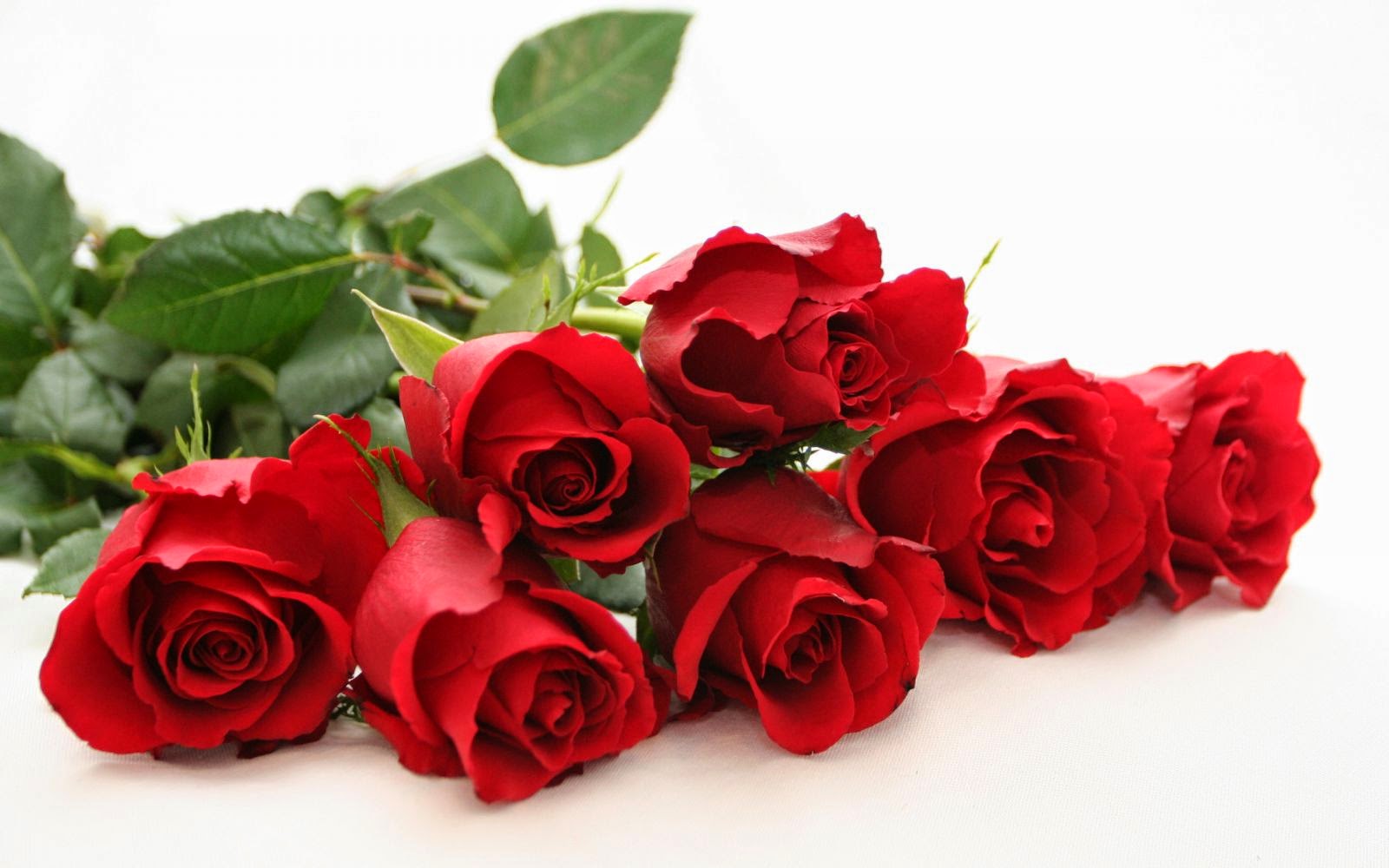 †MIGHTY WARRIOR BLOG † : "In the world ye shall have ...