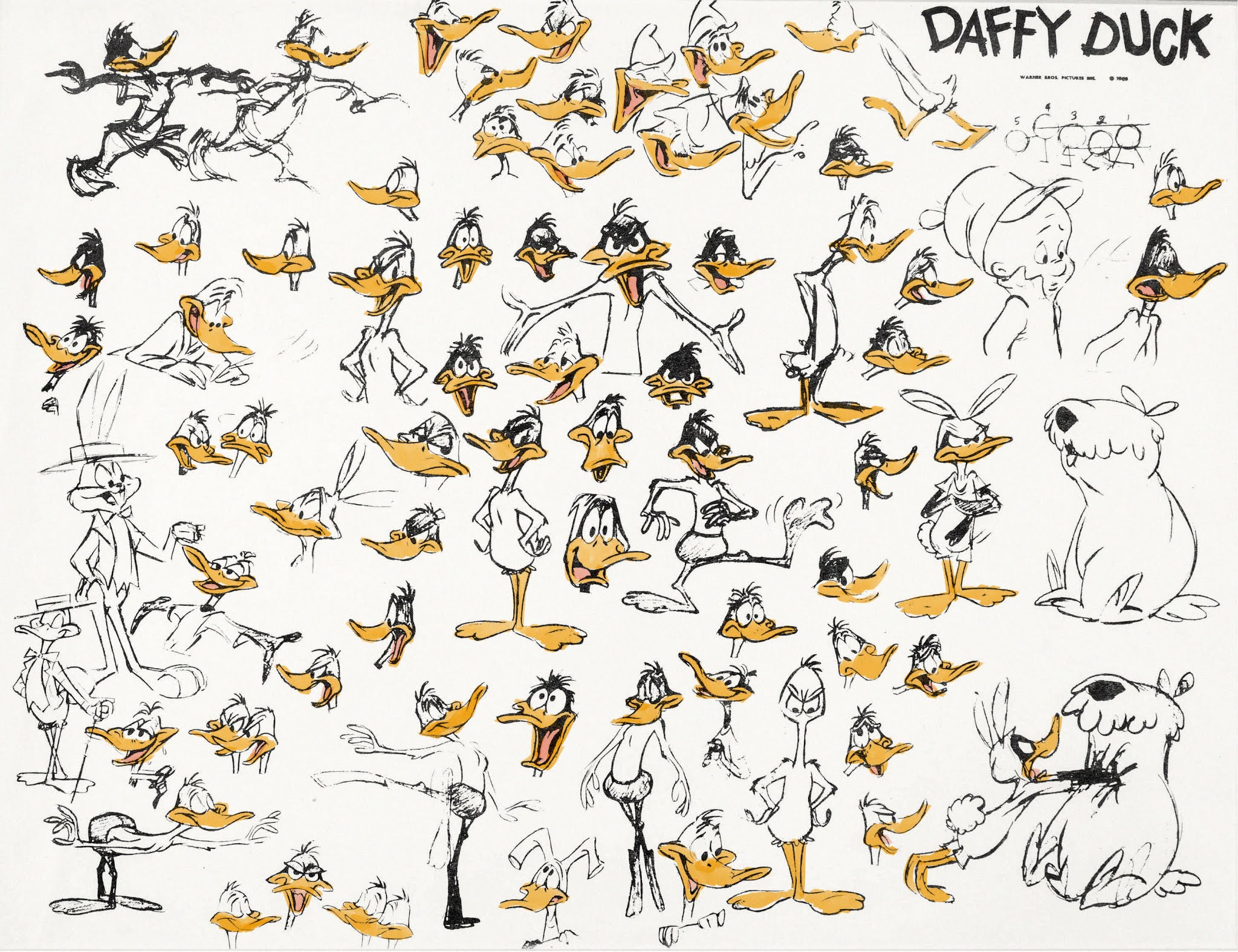 Legendary Daffy Duck studio model sheet from the 1960s.