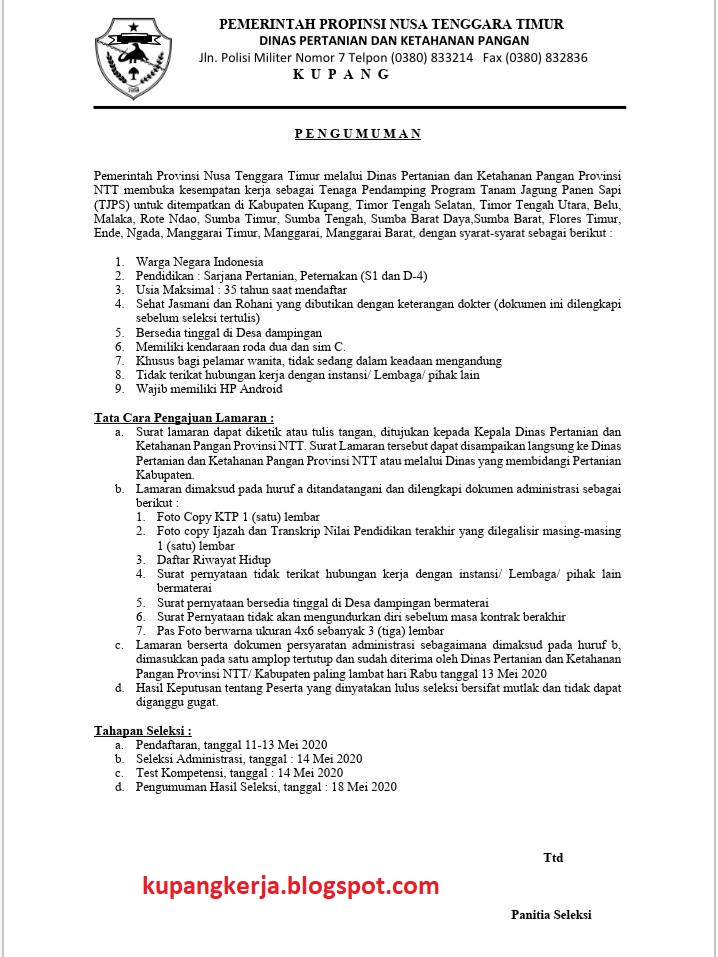 Pemerintah Provinsi Nusa Tenggara Timur Melalui Dinas Pertanian Dan Ketahanan Pangan Provinsi Ntt Membuka Kesempatan Kerja Sebagai Tenaga Pendamping Program Tanam Jagung Panen Sapi Tjps Lowongan Kerja Kupang