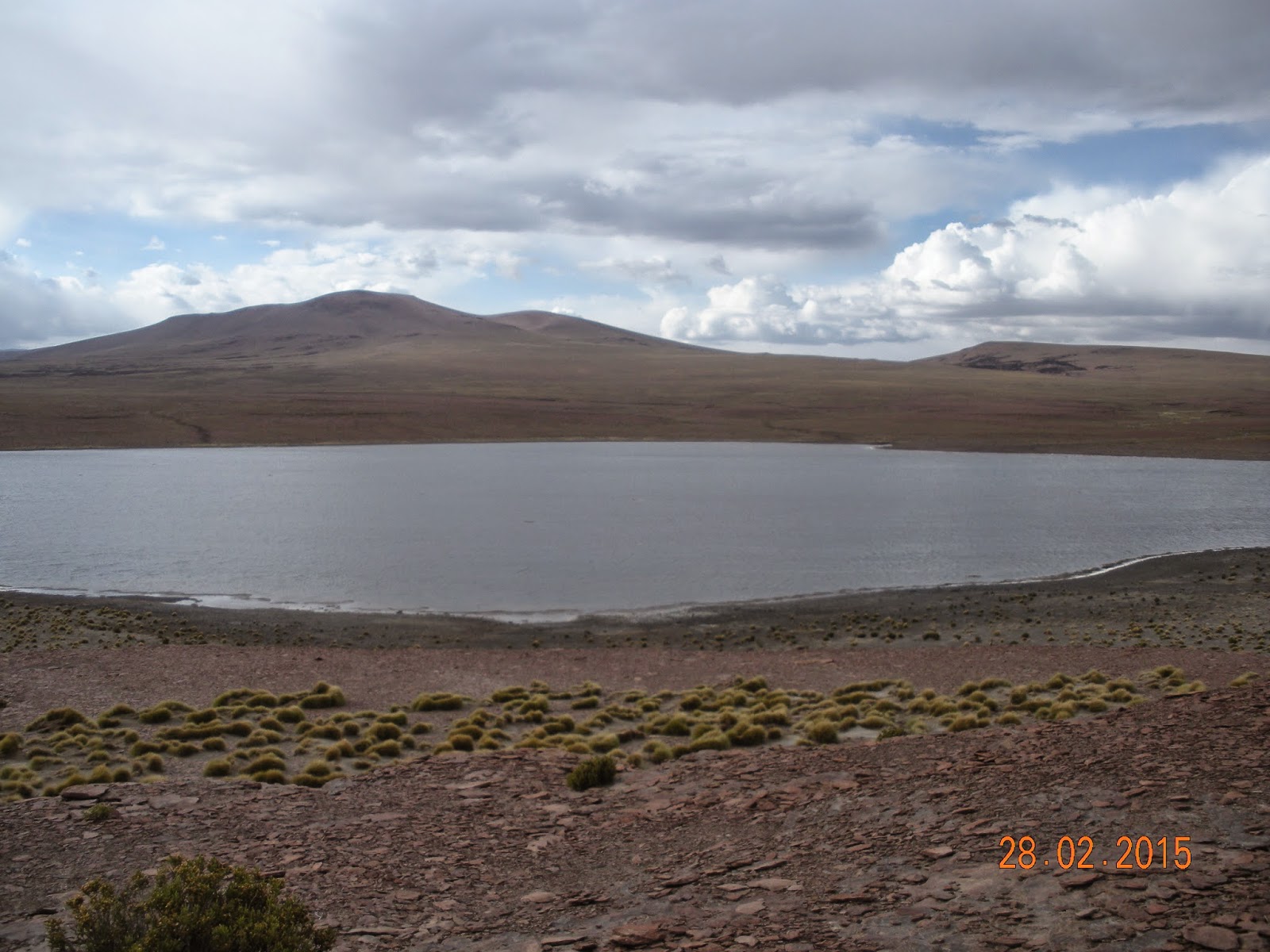 Atacama - Blogs de Bolivia - Hacia el desierto de Atacama (5)