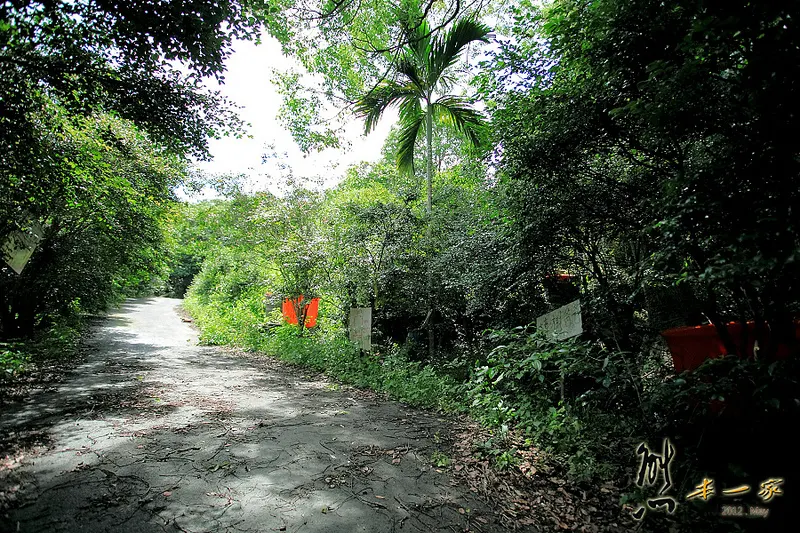 鳥瞰桃園盆地景點|五十份山登山步道