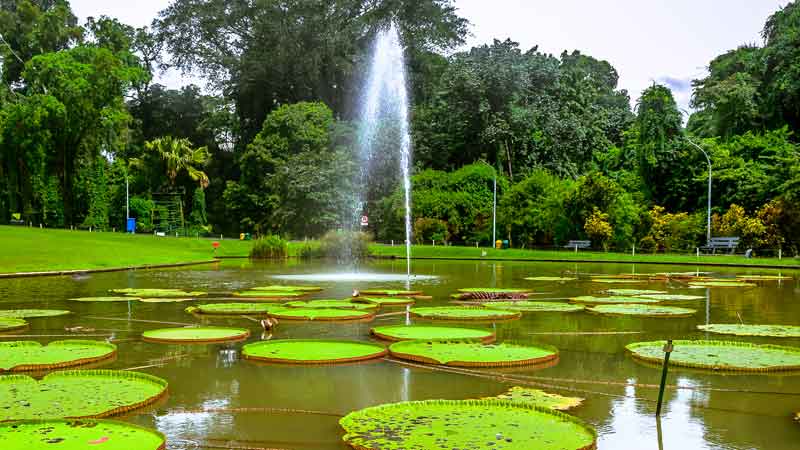 Mitos Kebun Raya Bogor
