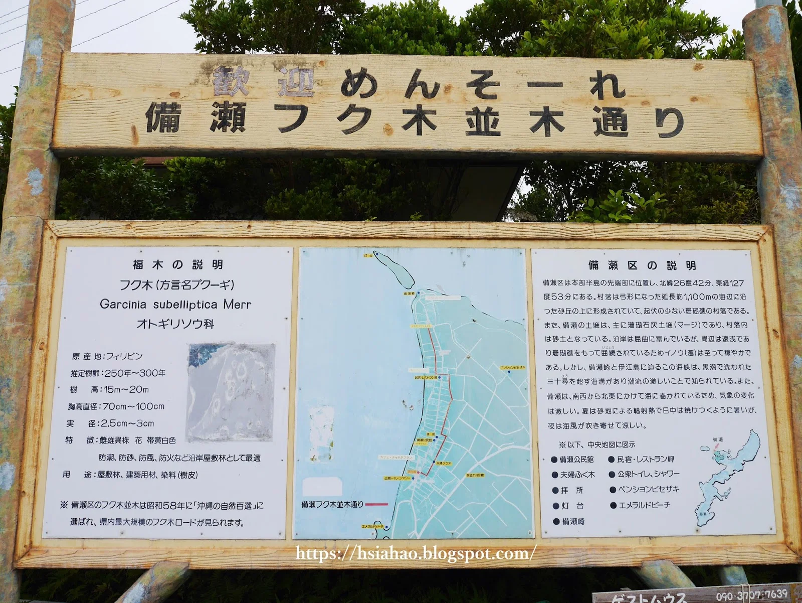 沖繩-海洋博公園-備瀨福木林道-備瀬フク木並木通り-海洋博公園景點-自由行-旅遊-旅行-okinawa-ocean-expo-park-Churaumi