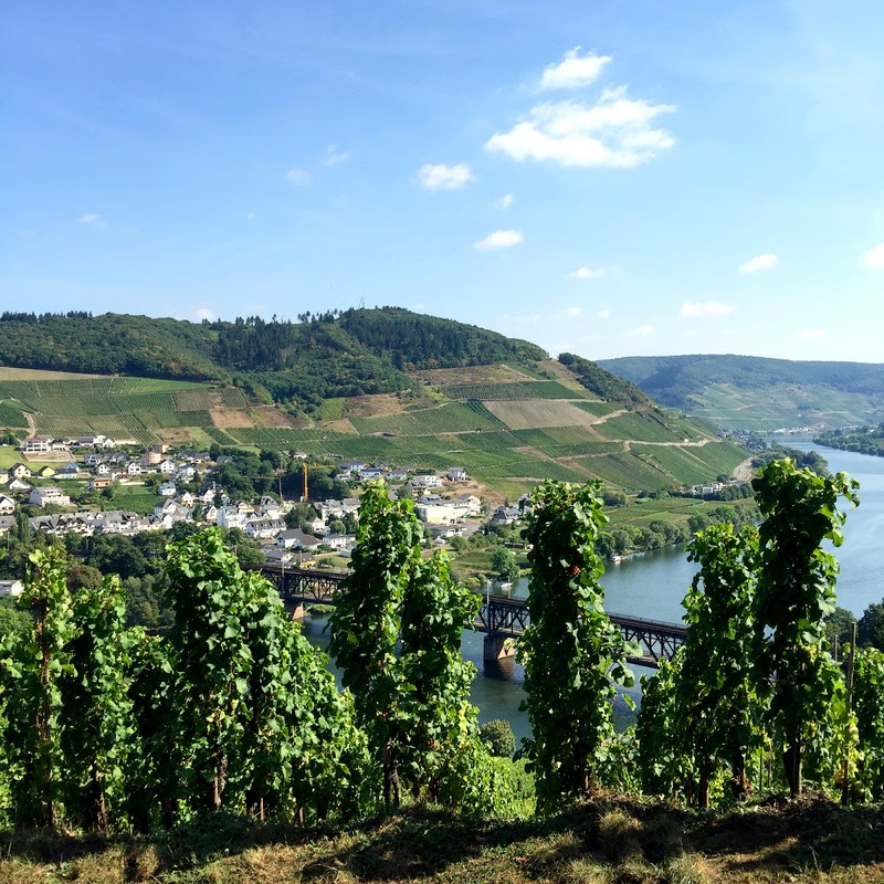 Experimente Aus Meiner Kuche Erben Winzerfest An Der Mosel Eamk