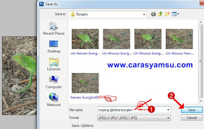 gambar misalnya ukuran gambar terlalu besar Cara Croping Foto di Adobe Photoshop CS3/CS4/CS5/CS6